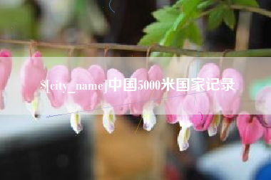 乐平中国5000米国家记录