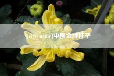 乐平中国金牌样子