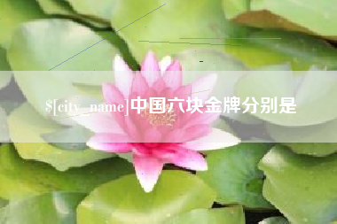 乐平中国六块金牌分别是