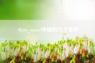 乐平中国的几个金牌