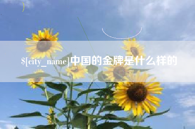 乐平中国的金牌是什么样的