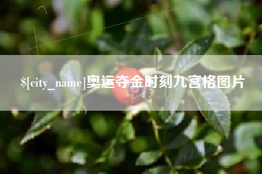 乐平奥运夺金时刻九宫格图片