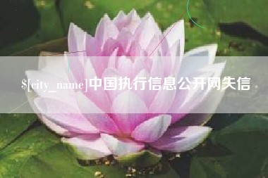 乐平中国执行信息公开网失信