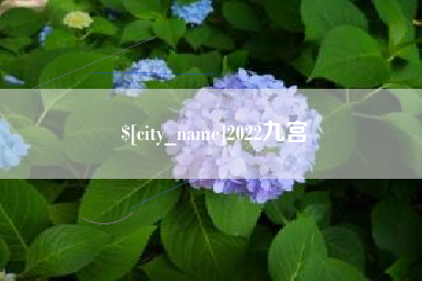 乐平2022九宫