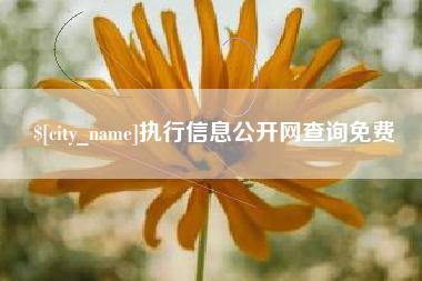 乐平执行信息公开网查询免费
