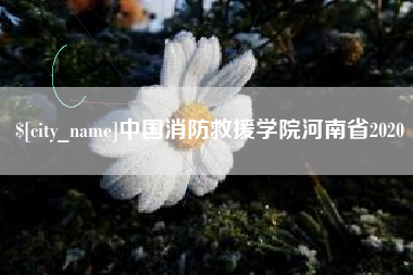 乐平中国消防救援学院河南省2020